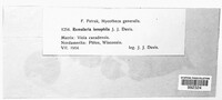 Image Associated With the Occurence
